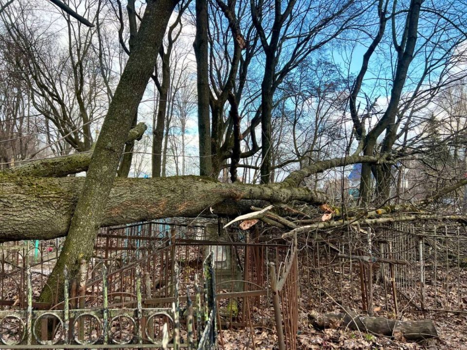 � ������ ������� ����� ������� ������� �� ��������� ��������