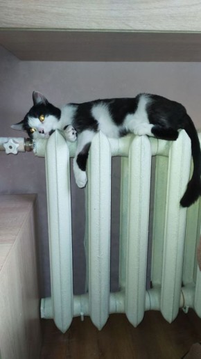 В Курске восстановлено тепло- и водоснабжение после сбоя на ТЭЦ