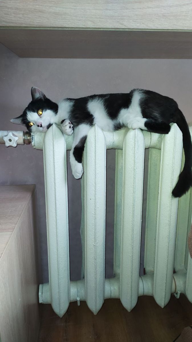 В Курске восстановлено тепло- и водоснабжение после сбоя на ТЭЦ