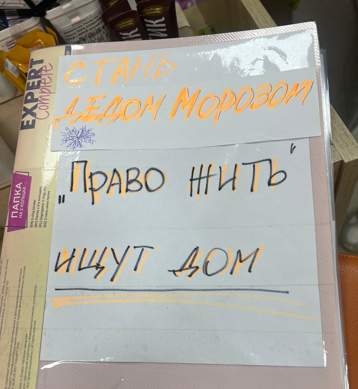 В предновогодние дни на первом этаже ТЦ «Пушкинский» (напротив магазина «Перекрёсток») в магазине «Клуб четыре лапы» можно приобрести и оставить подарки для животных из приюта