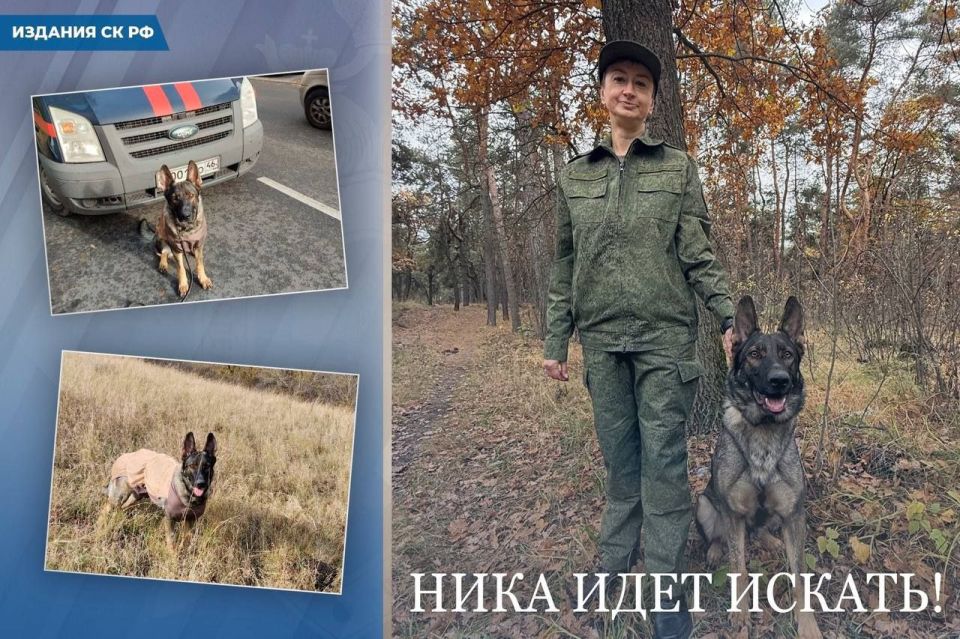 ���� ������� ����� ������� � ������ ���� ��������