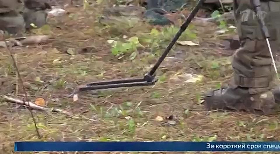 ������������� ��������� ������ � ��������: �������������� ����������� ����� ������� ����, ������� �������� ������������� ������������ ������ � ������� �������