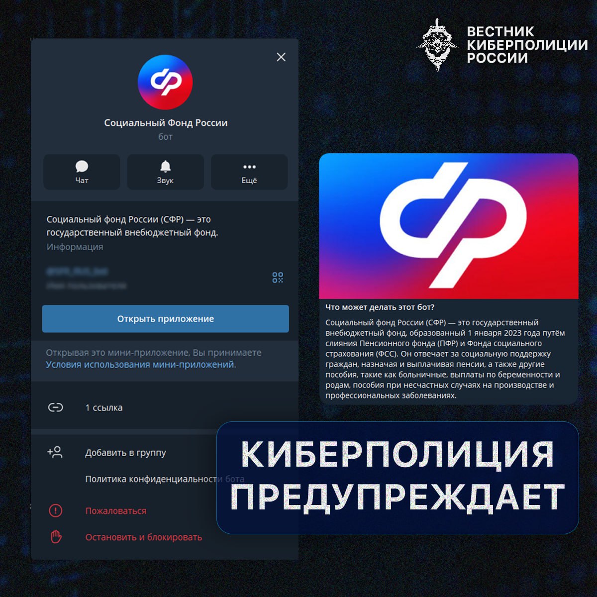 Социальный фонд России предупреждает: будьте осторожны с ботами-мошенниками