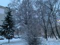 В Курской области 15 декабря ожидается до 13 градусов мороза