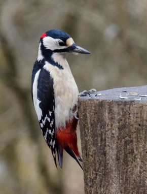 Доброе утро!. Пусть ваш день наполнится вдохновением, а мысли будут легкими и добрыми! Фото Константина Ларина #Дмитриевский_район
