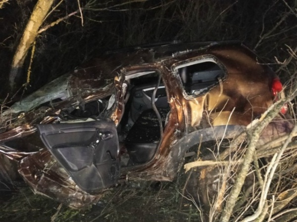 В Курской области машина врезалась в дерево, есть пострадавшие