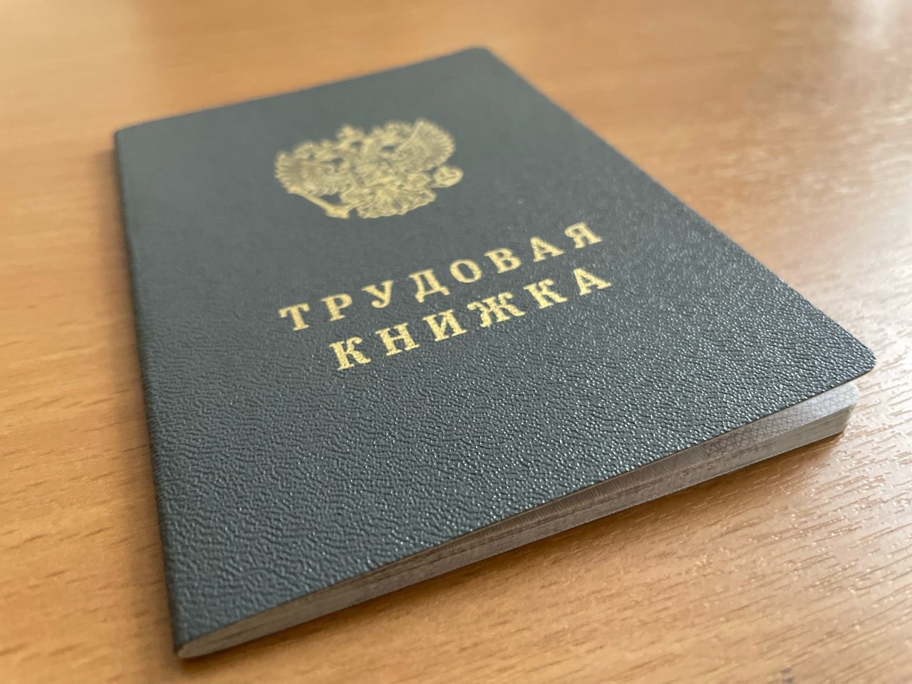 В Курской области за 11 месяцев появилось почти три тысячи новых рабочих мест с зарплатой от 80 тысяч