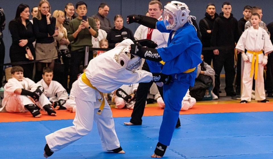 � ���������� ������� ������� �� ���� ������� ������� 115 �����������