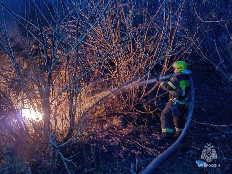 ��� ����������� (08-14 ������� 2025 ����)