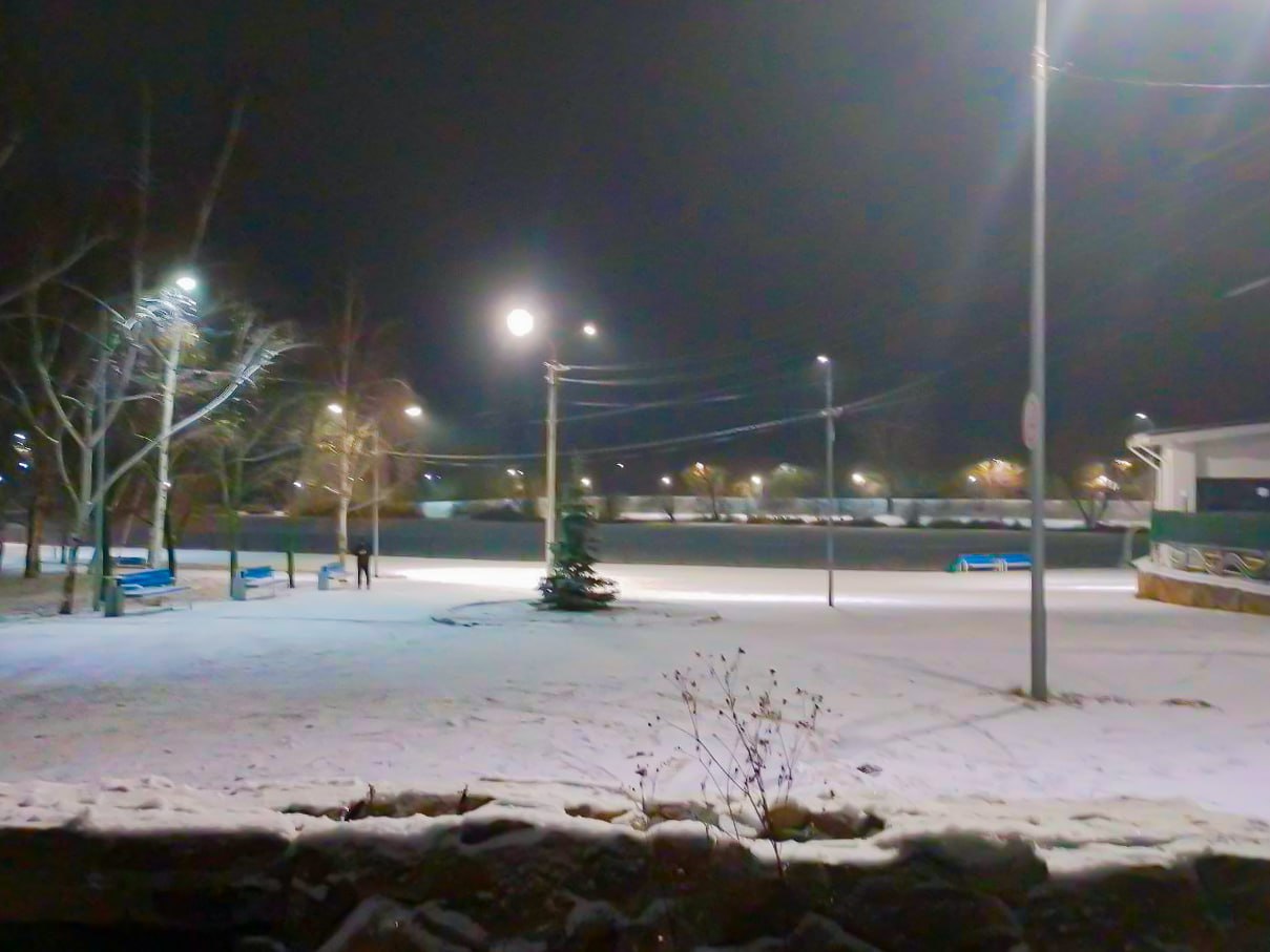 Спасшего молодых людей на Ермошкином озере курянина представят к награде