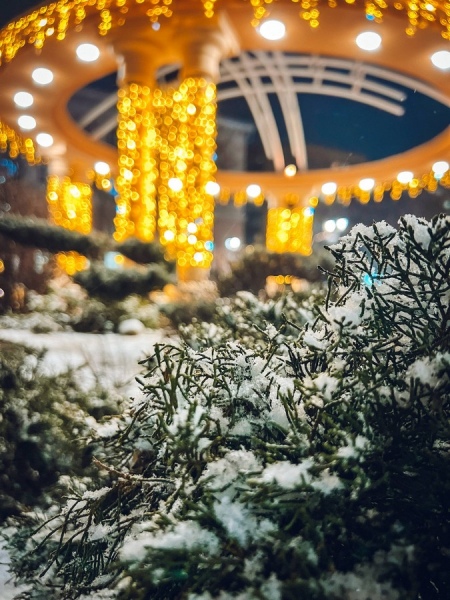 В Курской области чередование ложбин и гребней приведет к аномалии