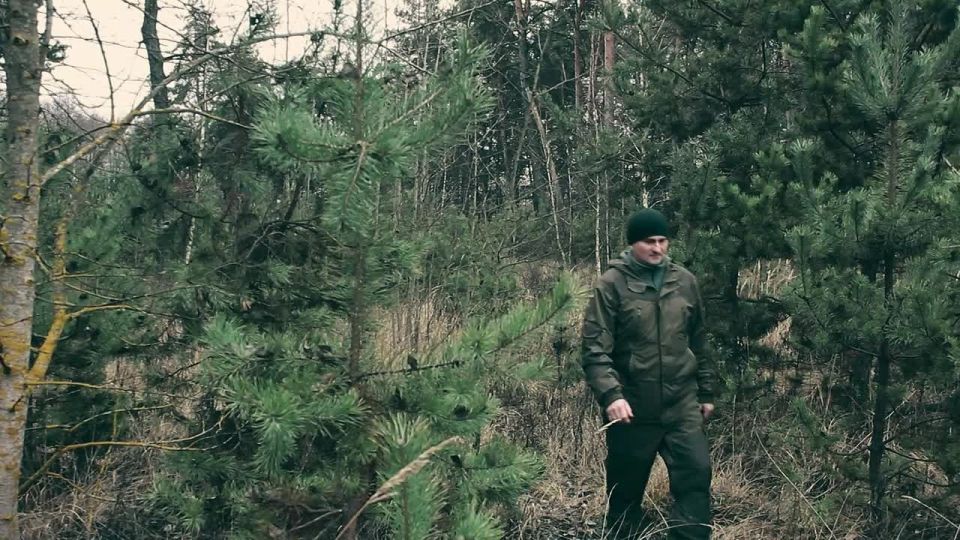 ���������� ����� ����������� ���������� � �������� ��������� ��������� ��������