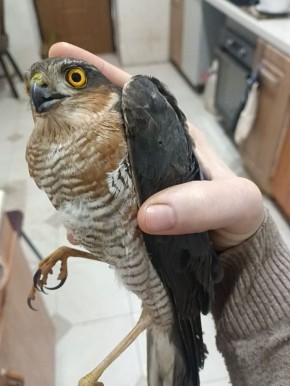 � ������� ������� ��� ������ ������� � ������ ��� �� �������