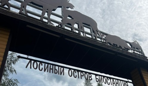 С курского предпринимателя взыскали 18,8 млн за вырубку леса в «Лосином острове»