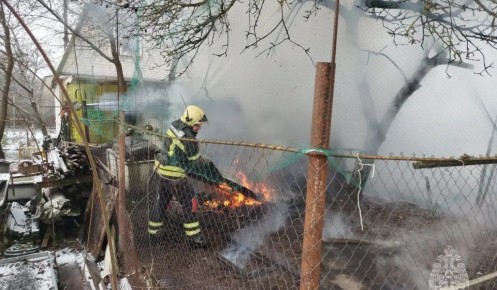 В Курском районе при пожаре в хозпостройке погибли 30 кур