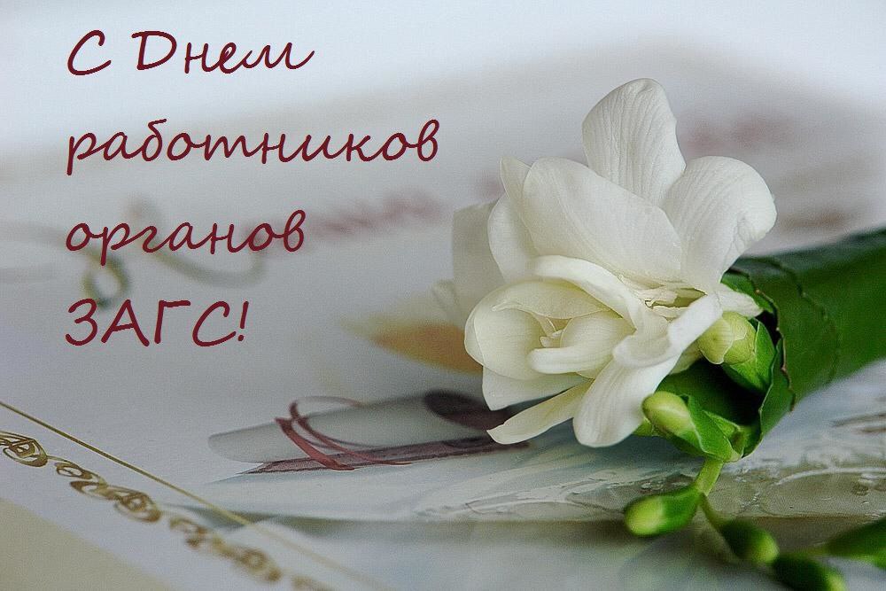 Олег Быковский: Уважаемые работники ЗАГСа!