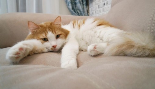 ��� ����� � ��������: ��� ����� ��������� ������ ������ �� ������ ����