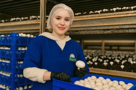 �������� ����: ��� �������� '������� ������' ��������� � ����� �����������