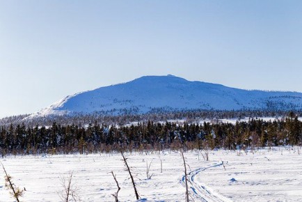 �������� �� ������� ������ ����������� ���������, ��� ������ ������� � ����