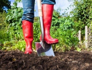 ������� ��������: ��� ��������� ������ ������� ��� ������ ��������