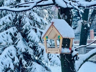 � ������� ������� ������ ��������� ������ ��������� ����������