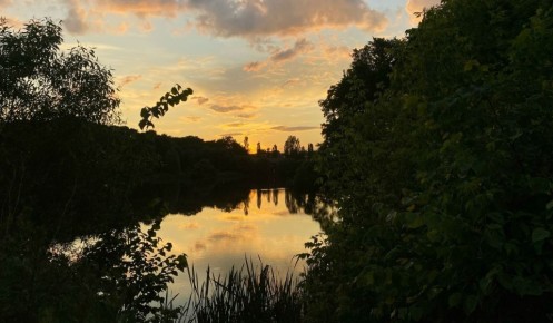 Представителя ООО «Курск-Агро» оштрафовали за внесение жома без экспертизы