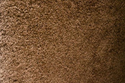 ��� ������� ����� �������� ���� � �����: �������� �������