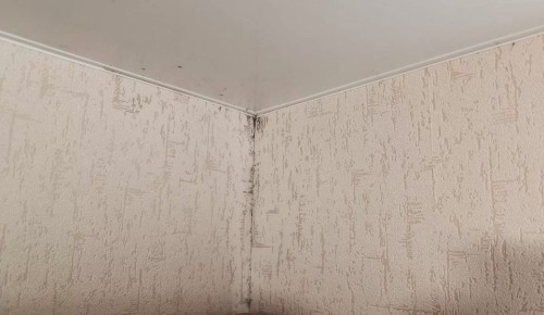 ������� ������ �������: ��� �������� ���� ��� � ��������