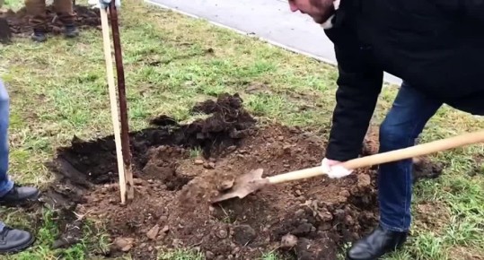 � ������ �� ����� ������ 9-� ������� ���������� �������� 97 ���