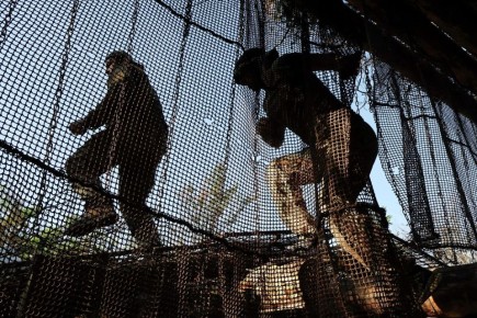 ������� ������ ������ ��� �� ������� �����������