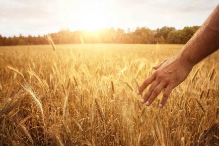 ���������������: ��� ��� ����������?