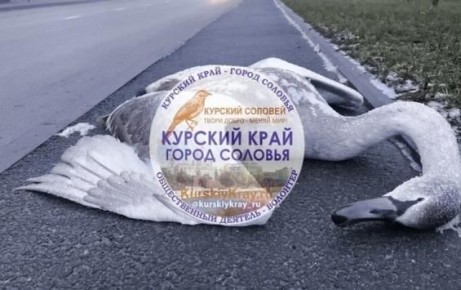 � ������ �� ����� ���������� ����� ������� ������ �� ������� �����