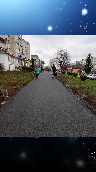 «Елка достижений» – открыта!