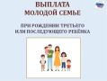 Постановлением Правительства Курской области от 15.04.2025 № 281-пп утвержден порядок предоставления единовременной выплаты при рождении третьего или последующего ребенка в молодой семье