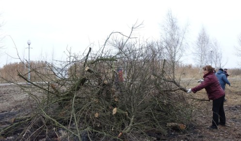 В Курчатове Курской области планируют создать трассу для катания на тюбингах