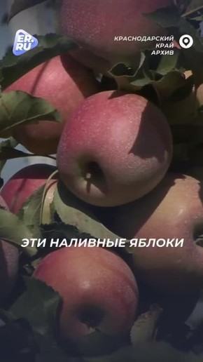 ������� ��������� � ������� � ������������ ������� ����� 20 ���� ���������