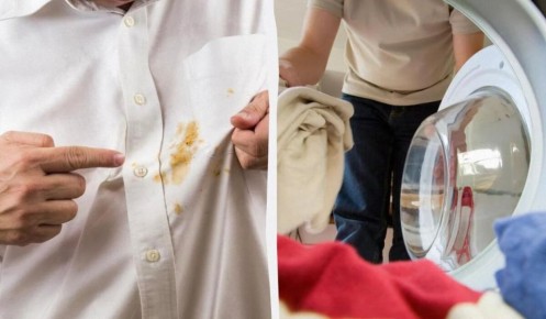 ��� ������� ���� ����� ������� ����� � ������� ���������: ������� �������