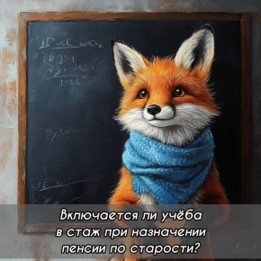 ������� ���� � ������: ������ ������, ������� ������ ��������