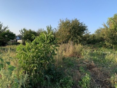 � ����������� ����������, ��� ������� �������� ������� �� ��������� ���������� ����������������