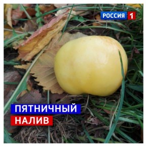 19 �������, �������. �����, ��� �������� ����� �����, �� � ������� ������ ������ � ��������