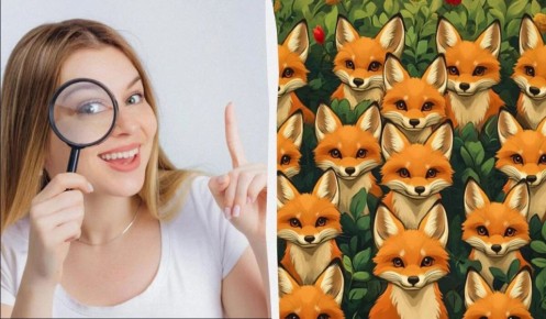 ����� � ������: ��� ����� ����� ����� ������ ������ �� 5 ������