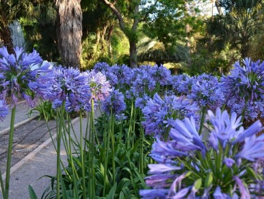 ������� ��������� ����� ����������: ��� ��������� ��������