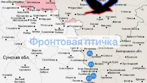 ������� �����������. ������ �� ��