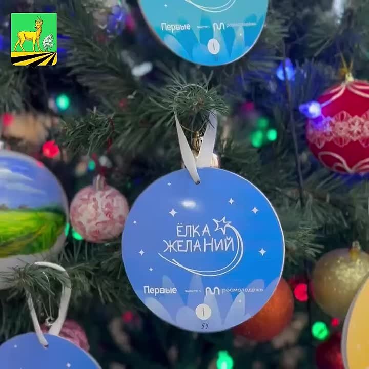 В преддверии нового года в нашем районе стартовала ежегодная акция «Ёлка желаний»