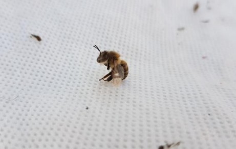 � ������� ������� �� ����� ���������������� ��� ������ �������� ������ ����