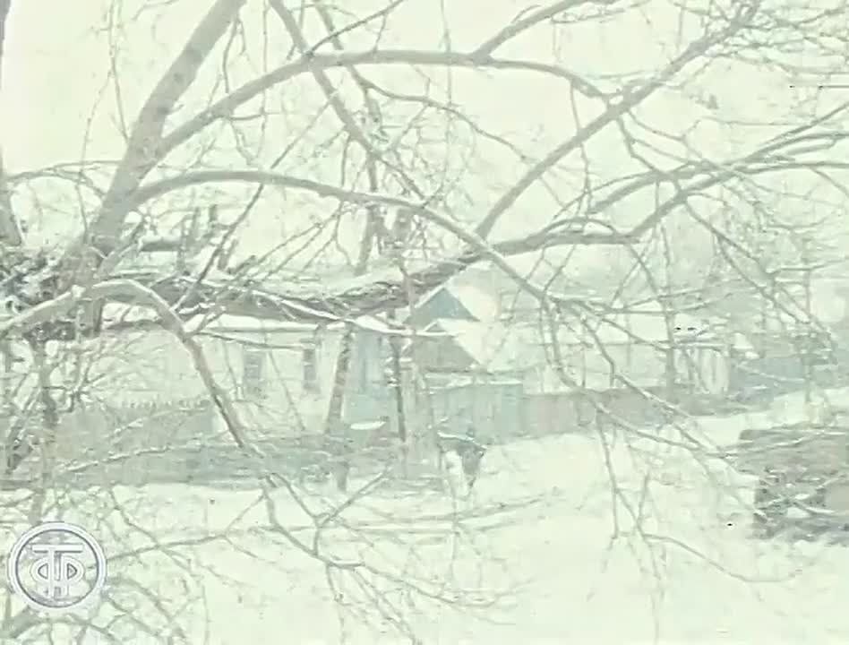 ������ ����� ������� � ������� �������