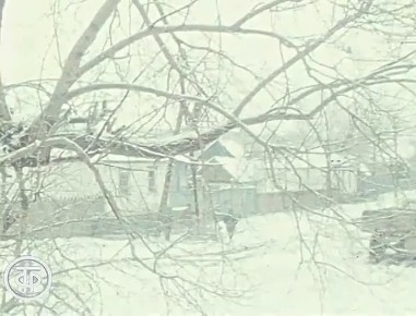 Леонид Ильич Брежнев в Курской области