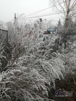 В Курской области 21 декабря ожидаются снег, туман, гололед и до минус 4°С