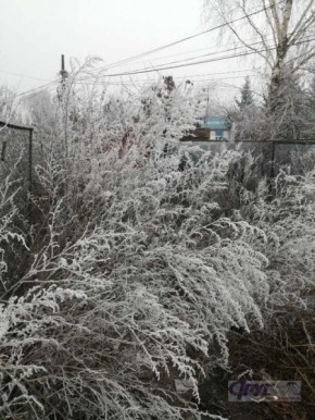 В Курской области 21 декабря ожидаются снег, туман, гололед и до минус 4°С