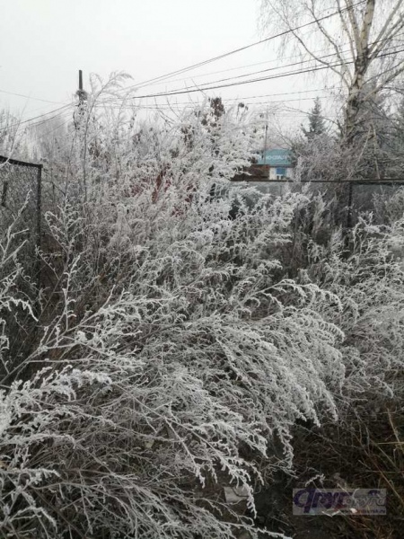 В Курской области 21 декабря ожидаются снег, туман, гололед и до минус 4°С
